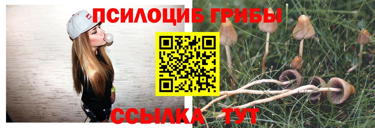 где можно купить   Вход с VPN  Нижний Новгород  Псилоцибиновые грибы MAGIC MUSHROOMS 