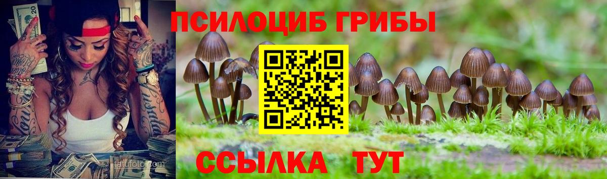 Галлюциногенные грибы Cubensis Нижний Новгород